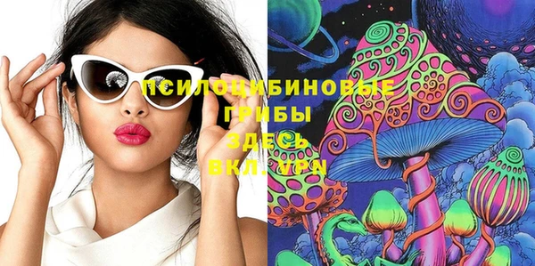 кокаин премиум Заводоуковск